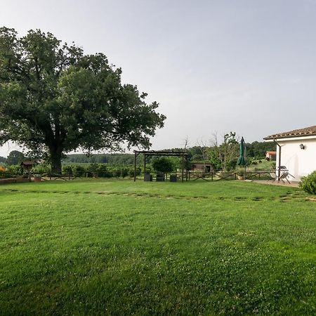 Agriturismo Il Poggio Vetralla Luaran gambar