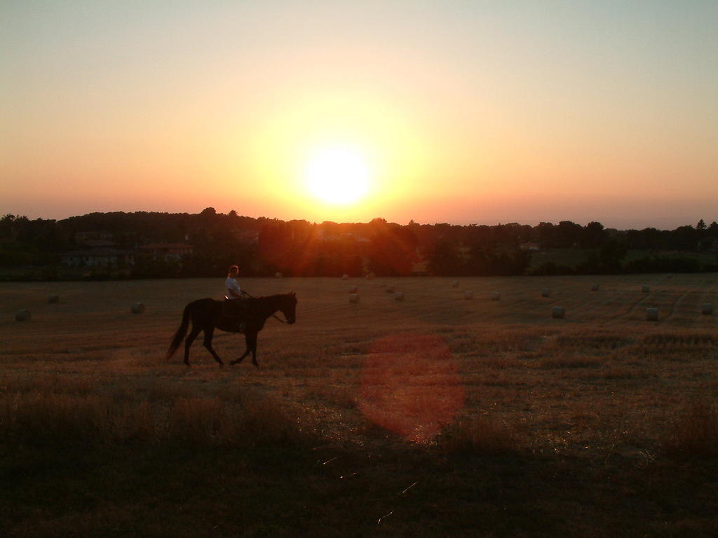 Agriturismo Il Poggio Vetralla Luaran gambar