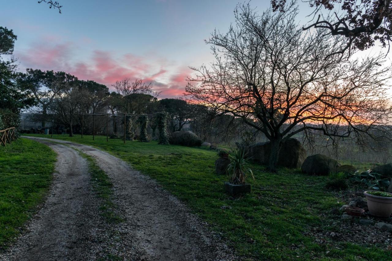 Agriturismo Il Poggio Vetralla Luaran gambar