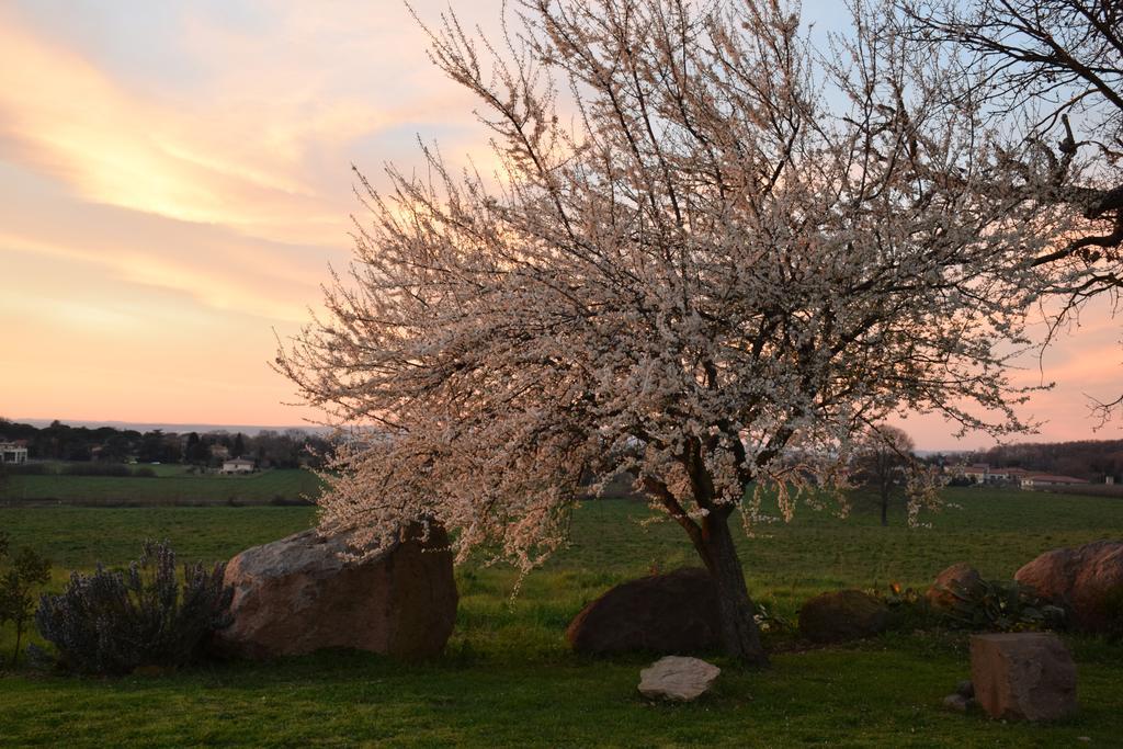 Agriturismo Il Poggio Vetralla Luaran gambar