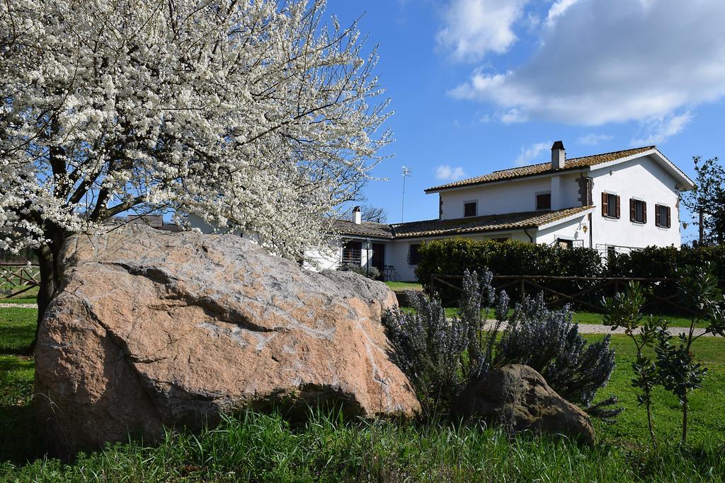 Agriturismo Il Poggio Vetralla Luaran gambar